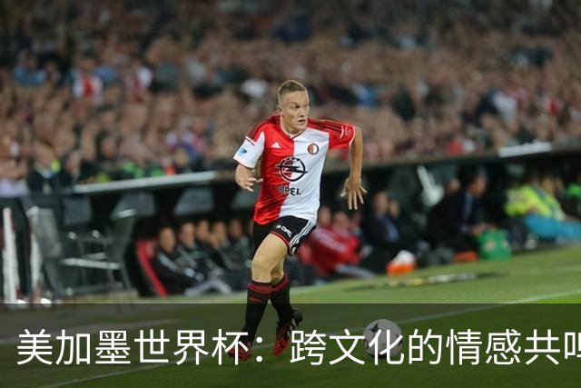 美加墨世界杯：跨文化的情感共鸣